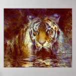Tigre Affiches