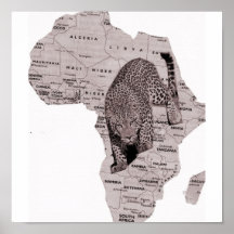Tigre africain poster