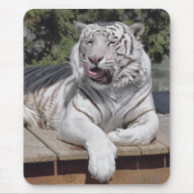 Tigre blanc 10 Mousepad Tapis De Souris