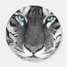 Tigre blanc noir aimants