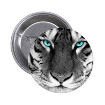 Tigre blanc noir badge