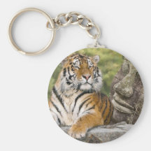 Tigre et le Bouddha Porte-clefs