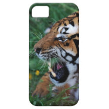Tigre montrant ses crocs coque Case-Mate iPhone 5