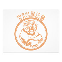 Tigres Bristols Personnalisés