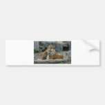 Tigress and playful tiger cub 1 bumper stickers