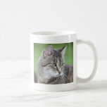 Tikki Cat Mugs