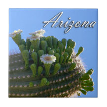 Tile, Arizona Saguaro Cactus Photo