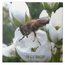 Tile - Be My Honey
