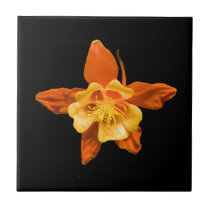 Tile, Orange and Yellow Columbine