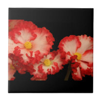 Tile, Red Ruffled Begonias