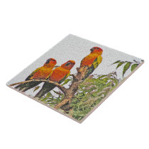 TILE/TRIVET, THREE ORANGE PARROTS (DIGITAL MANIP) tiles