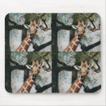 Tiled Cute Giraffe Mousepad