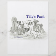 Tilly's Pack Flyers