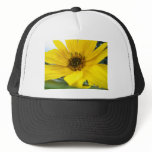 tilted sunflower hats