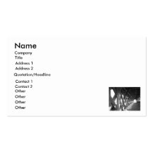 Timber Bridge business card