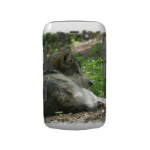 Timber Wolf Blackberry Bold Case