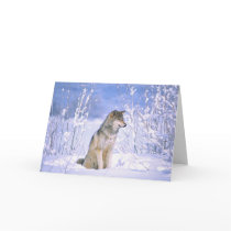 Timber Wolf sitting in the Snow, Canis lupus, Greeting Cards