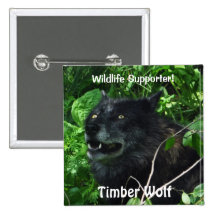 Timber Wolf Wildlife Photo pin