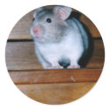 Timbit the Hamster Stickers