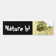 time for frog bumper sticker