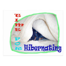 Time for hibernating post card