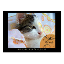 Time Heals Life Lessons From a Cat ACEO Art Cards Business Card Template