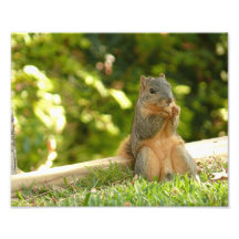 Time out Photo