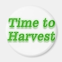 Time to harvest V3 Refrigerator Magnet
