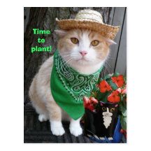 Time to Plant! Postcards