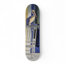 "Time Traveller" Pelican on Rocking Chair