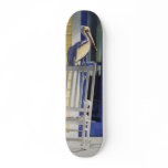 "Time Traveller" Pelican on Rocking Chair skateboards