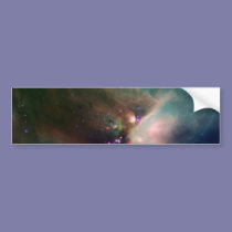 Timeless Beauty bumper stickers