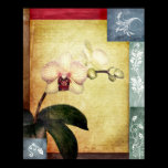Timeless Orchid posters