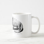 Timmy's Dinosaur Coffee Mugs
