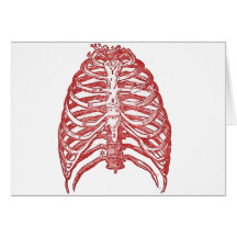 Tin Ribs Greeting Cards