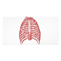 Tin Ribs Photo Cards
