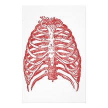 Tin Ribs Stationery