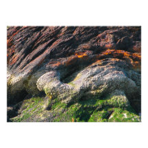 Tin Slag Mountain Personalized Invites