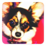 Tina the Papillon stickers