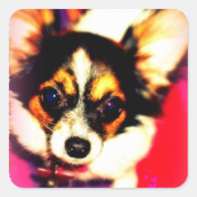 Tina the Papillon Stickers