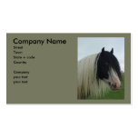 Tinker Portrait Business Card