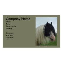 Tinker Portrait Business Card