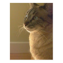 TinkerBella - Postcard