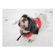 tinkerbelle poking her teeth out photo print