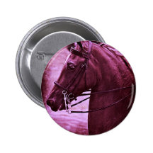 Tinted Saddlebred Pins