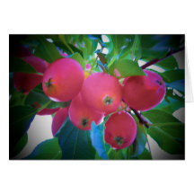 Tiny Apples Card