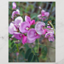 Tiny aromatic pink flowers flyer design