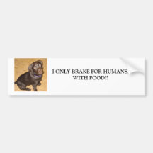 tiny-chocolate-brown-labrador-puppy bumper stickers