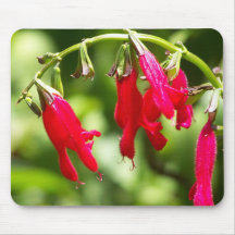 Tiny Flowers Mouse Pads