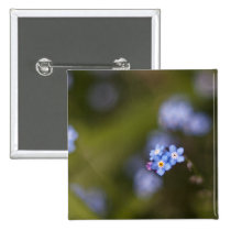 Tiny forget me not flower buttons